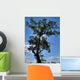 Majestic Wall Decal