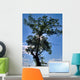 Majestic Wall Decal
