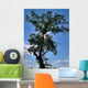 Majestic Wall Decal