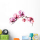 Pink Watercolor Flowers Orchid Wall Decal
