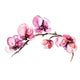 Pink Watercolor Flowers Orchid Wall Decal