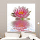 Water Lily Flower Wall Decal
