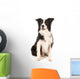 Border Collie Wall Decal