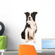 Border Collie Wall Decal