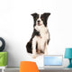 Border Collie Wall Decal