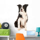 Border Collie Wall Decal