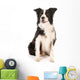Border Collie Wall Decal