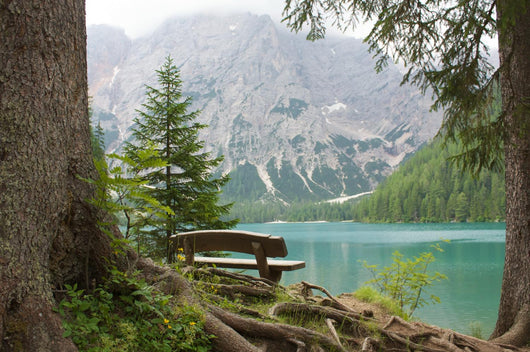 Sitting Lake Wall Decal