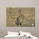 Wild Cotton Tail Rabbit Wall Decal