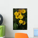 Coltsfoot Wall Decal