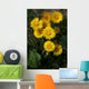Coltsfoot Wall Decal