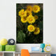 Coltsfoot Wall Decal