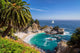 Beautiful Beach with Palm Wall Decal