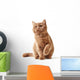 Portrait British Kitten Wall Decal