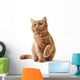 Portrait British Kitten Wall Decal