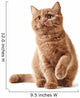 Portrait British Kitten Wall Decal