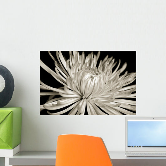 Sepia Chrysanthemum Wall Decal