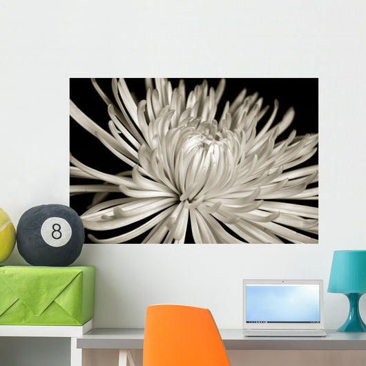 Sepia Chrysanthemum Wall Decal