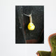 Snail with Beautiful House Wall Decal