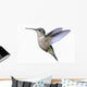 Ruby-throated Hummingbird Wall Decal