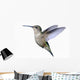 Ruby-throated Hummingbird Wall Decal