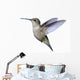 Ruby-throated Hummingbird Wall Decal