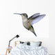Ruby-throated Hummingbird Wall Decal