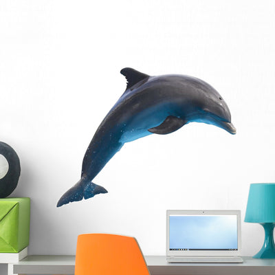 Jumping Dolphin Wall Decal shown on a wall