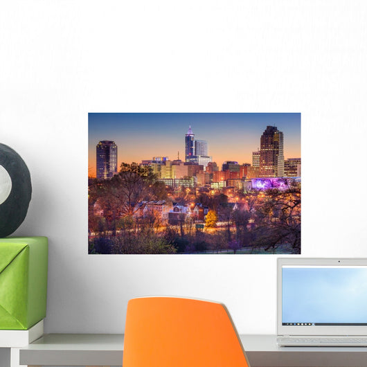 Raleigh Skyline Wall Decal