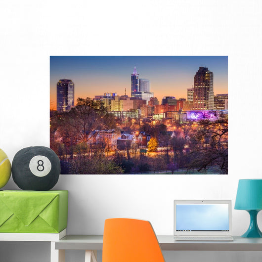 Raleigh Skyline Wall Decal