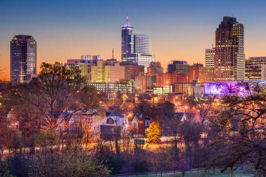 Raleigh Skyline Wall Decal