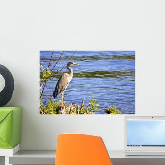 Great Blue Heron Lake Wall Decal