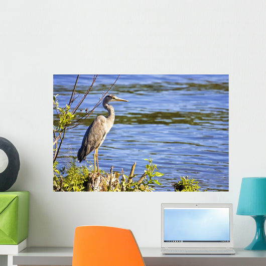 Great Blue Heron Lake Wall Decal