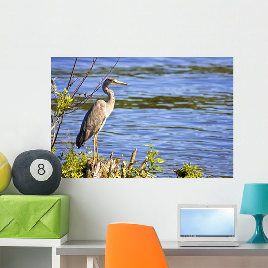 Great Blue Heron Lake Wall Decal