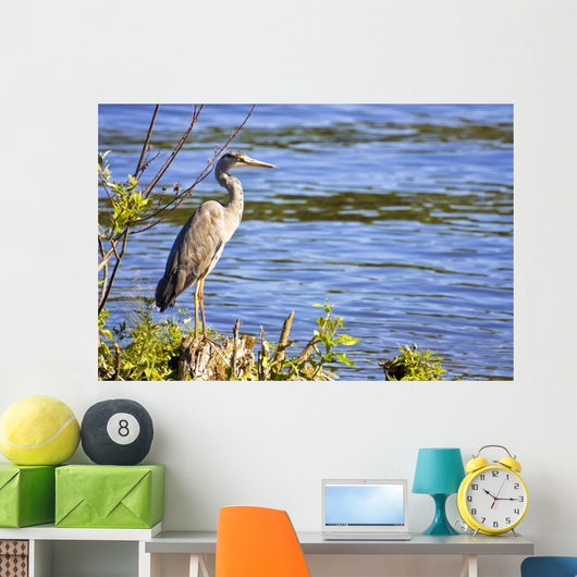 Great Blue Heron Lake Wall Decal