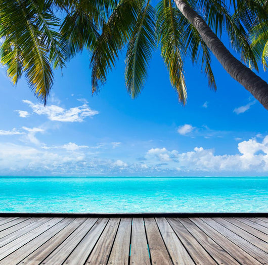 Ocean Palm Paradise Caribbean Wall Decal