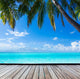 Ocean Palm Paradise Caribbean Wall Decal
