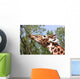 Giraffe Eating a Branch Wall Decal