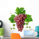 Decorative Pink Wine Grape Wall Decal