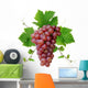 Decorative Pink Wine Grape Wall Decal