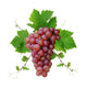 Decorative Pink Wine Grape Wall Decal