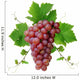 Decorative Pink Wine Grape Wall Decal