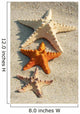 Starfish Wall Decal
