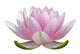 Om Pink Lotus Flower Wall Decal