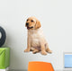 Labrador Puppy Wall Decal