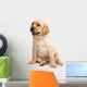 Labrador Puppy Wall Decal