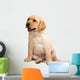 Labrador Puppy Wall Decal