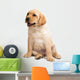 Labrador Puppy Wall Decal