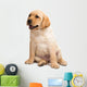 Labrador Puppy Wall Decal