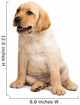 Labrador Puppy Wall Decal